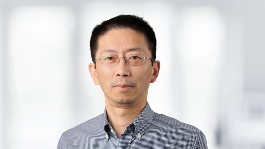 dil-ev-struktur-verarbeitung-struktur-und-funktionalitaet-dr-ing-xiaoai-guo