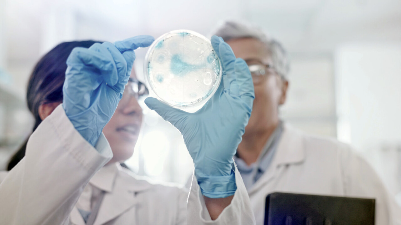 dil-ev-weiterbildung-masterstudiengang-Food-Process-and-Product-Engineering Drei junge Wissenschaftlerinnen im Labor pipettieren Proben und tragen Schutzbrillen – praktische Weiterbildung im Masterstudiengang Food Processing and Product Engineering (FPPE) am DIL e.V.