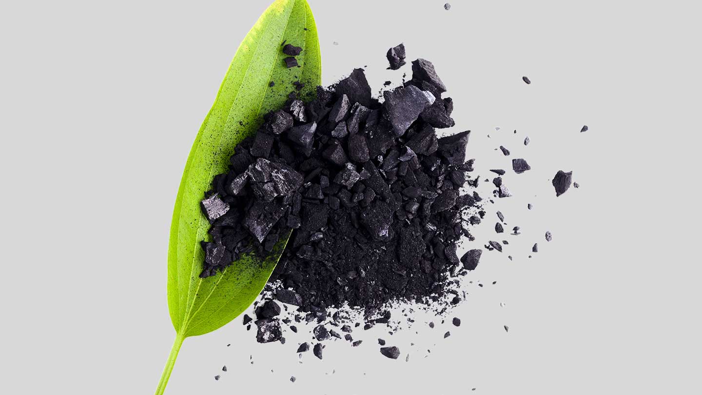 Pflanzenkohle als Fütterungszusatz