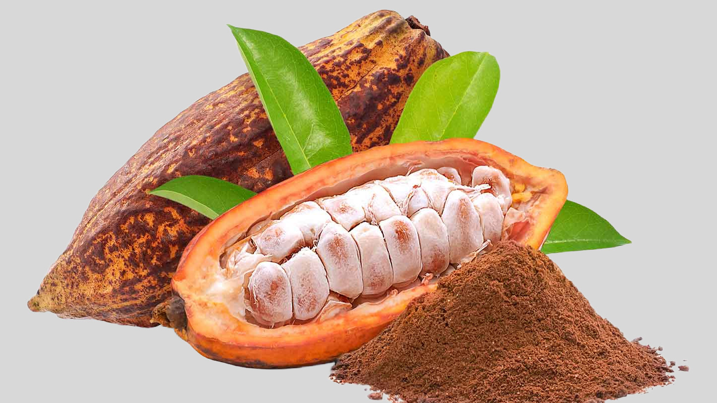 Salmonellen-Inaktivierung in Schokolade