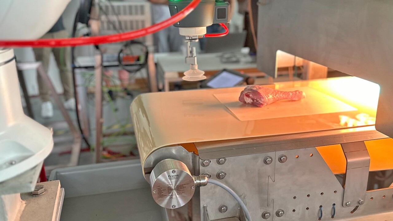 dil-ev-auftragsforschung-automatisierungstechnik-Robotikgestuetzte- Qualitaetspruefung Ein Roboterarm mit Sauggreifer positioniert sich über einem Förderband, auf dem ein Lebensmittelstück (z. B. Fisch- oder Fleischprobe) unter einer hellen Lichtquelle zur automatisierten Inspektion bzw. Prozesskontrolle liegt. Die Szene zeigt Automatisierung und sensorbasierte Qualitätsüberwachung in der Lebensmittelverarbeitung.