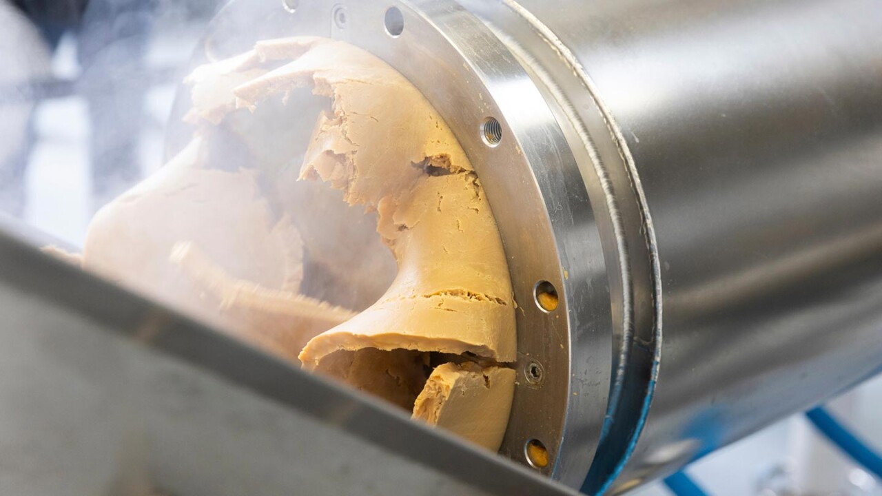 Nahaufnahme eines industriellen Extruders: Ein helles, teig- bzw. proteinbasiertes Produkt tritt am Auslass aus und zeigt die typische, strukturierte Textur des Extrusionsprozesses. Edelstahl-Komponenten und Prozessumgebung sind im Hintergrund sichtbar.