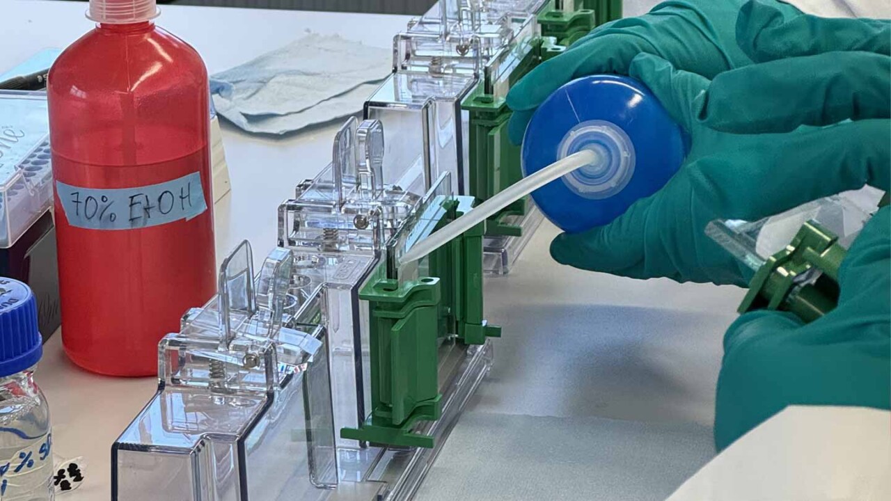 Nahaufnahme eines Laborarbeitsplatzes: Eine behandschuhte Hand pipettiert eine Flüssigkeit in eine Gel-Elektrophorese-Kammer bzw. ein Analysemodul aus Kunststoff. Daneben steht eine beschriftete Flasche mit 70 % Ethanol (EtOH). Das Bild steht für biochemische Laborarbeit, Probenvorbereitung, Trenn- und Analyseverfahren sowie Forschung zu Struktur, Verarbeitung und ernährungsrelevanten Inhaltsstoffen.