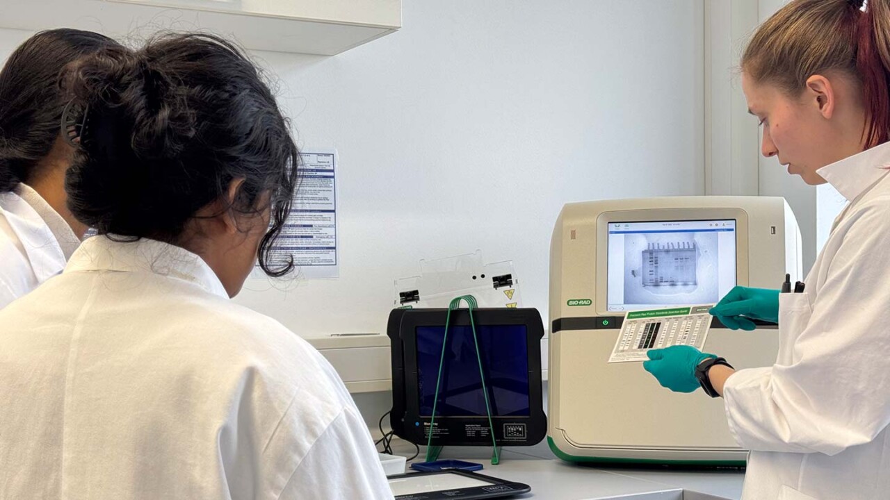 Zwei Mitarbeiterinnen im Laborkittel arbeiten an einem Bio-Rad Analysegerät und werten ein Gelbild am Monitor aus. Eine Person trägt Handschuhe und hält eine Referenzkarte für die Probenzuordnung. Das Foto steht für biochemische Analytik, Protein- und Biomoleküluntersuchungen, Qualitätskontrolle sowie Forschung zu Struktur, Verarbeitung und ernährungsrelevanten Inhaltsstoffen.