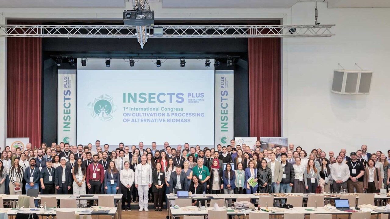Großes Gruppenfoto im Veranstaltungssaal des Insects Plus Kongress. Zahlreiche internationale Teilnehmende stehen vor der Bühne, im Hintergrund ist die Leinwand mit dem Kongresslogo und dem Titel „Insects Plus – International Congress“ zu sehen. Das Bild zeigt Networking und fachlichen Austausch rund um Kultivierung und Verarbeitung alternativer Biomasse.