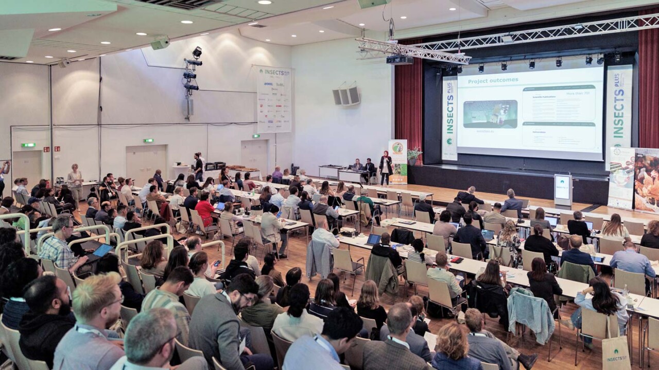 Großer Konferenzsaal mit zahlreichen Teilnehmenden an Tischreihen, die einem Vortrag auf einer Bühne folgen. Auf der Leinwand ist eine Präsentation mit dem Titel „Project outcomes“ zu sehen, flankiert von Insects-Plus-Bannern. Die Aufnahme vermittelt die Atmosphäre einer Fachveranstaltung mit Vorträgen, Wissenstransfer und Networking rund um Insektenproteine, nachhaltige Wertschöpfungsketten und Innovationen für Lebensmittel- und Futtermittelanwendungen.
