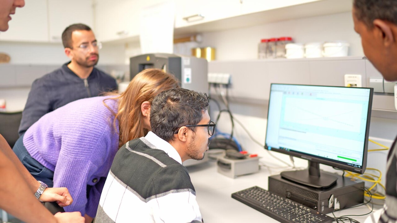 Studierende arbeiten in einem Laborraum gemeinsam an einem Computer und analysieren Messdaten auf dem Monitor. Mehrere Personen stehen um den Arbeitsplatz, diskutieren Ergebnisse und unterstützen sich gegenseitig. Das Bild steht für praxisorientierte Lehre, interdisziplinäre Teamarbeit und digitale Datenauswertung im Masterstudiengang „Food Process and Product Engineering (FPPE)“ – mit Bezug zu Prozess- und Produktentwicklung in der Lebensmittelwissenschaft.