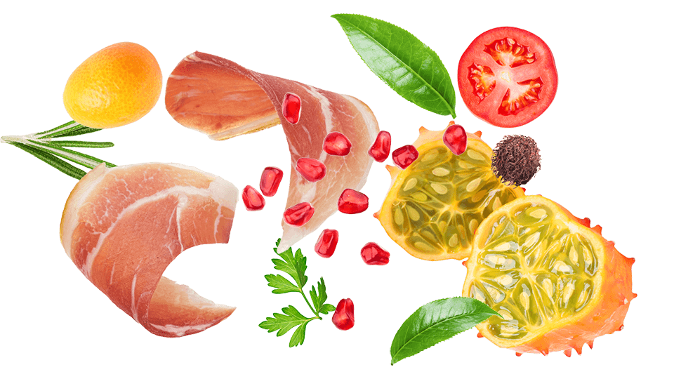 dil-ev-forschung dil-ev-forschung