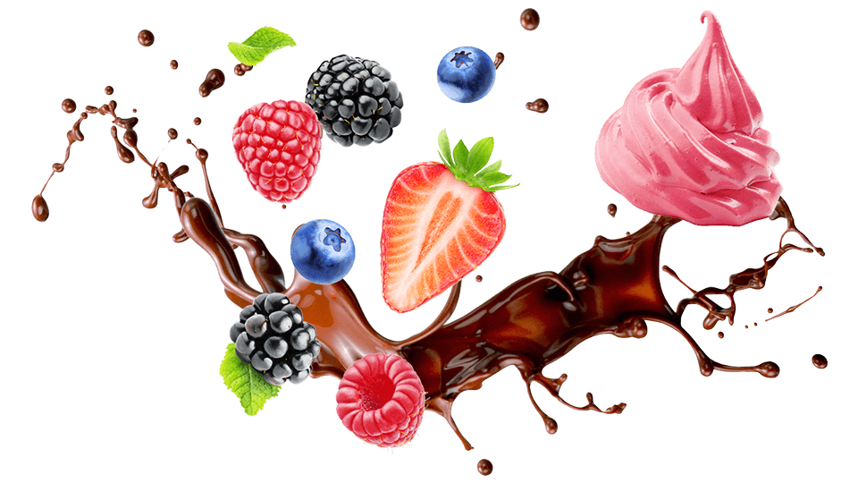 dil-ev-service dil-ev-service